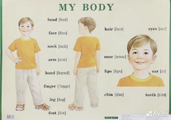 Плакаты/постеры для изучения английского языка