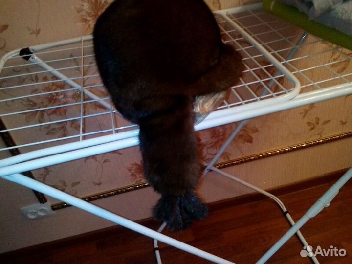 Шапка из норки