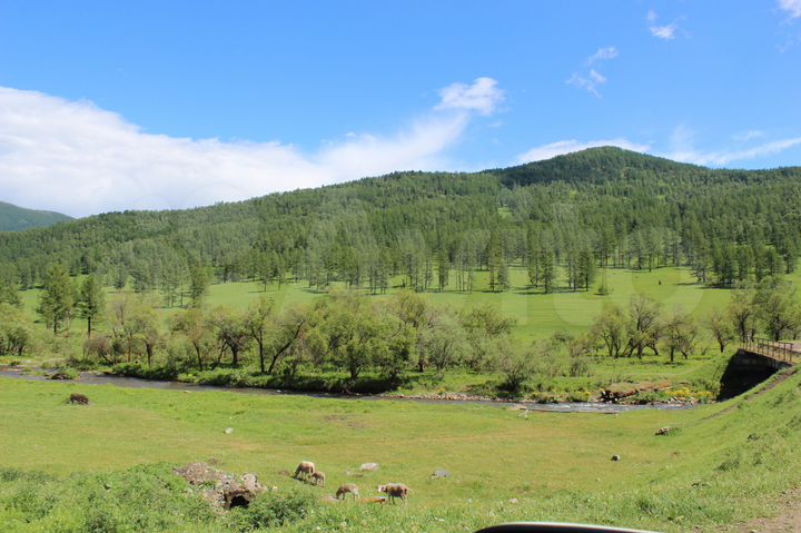 Участок 15 сот. (ИЖС)