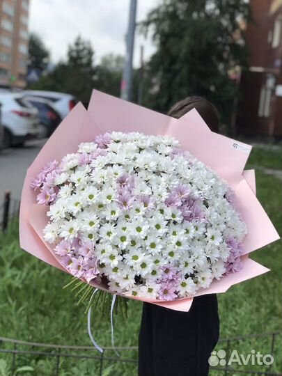 Хризантема с доставкой