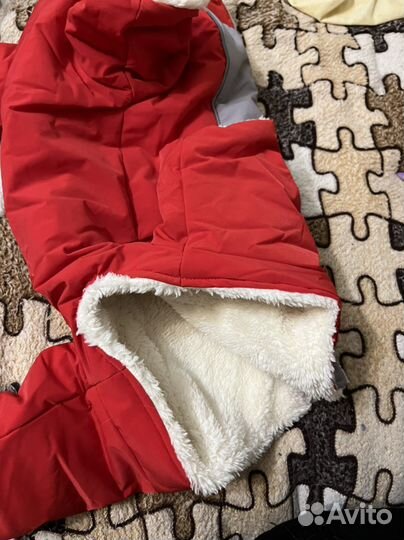 Зимний комбинезон для маленьких собак