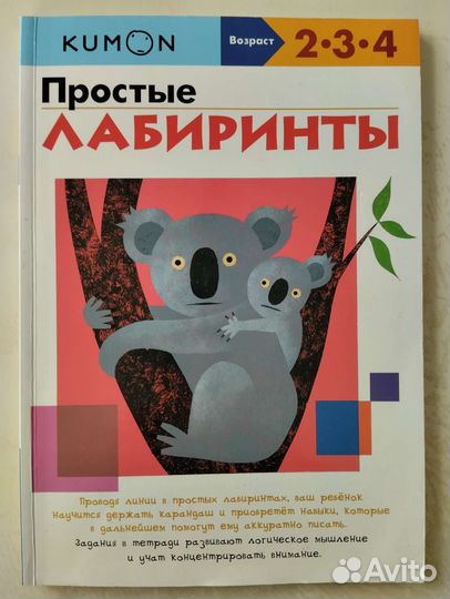 Простые лабиринты 2*3*4 Kumon. Ульева Елена