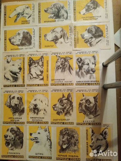 Этикетки порода собак и охраняйте зверей