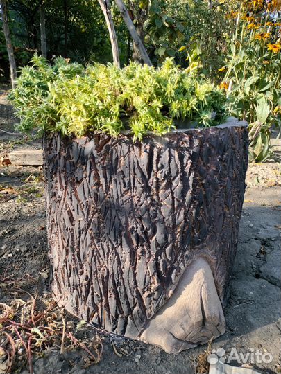 Кашпо, цветник из арт-бетона