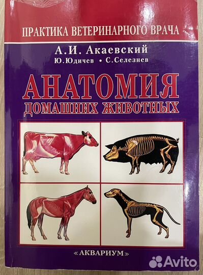 Книга: Анатомия домашних животных А.И.Акаевский