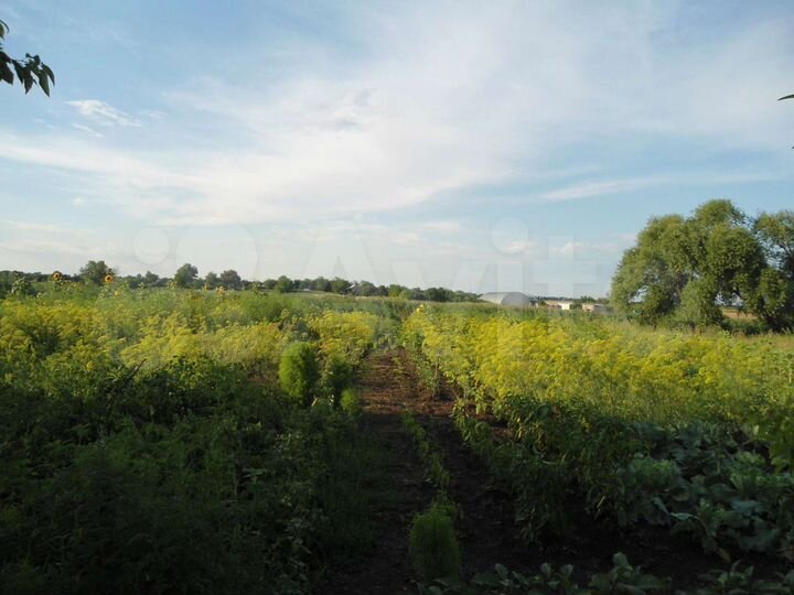 Участок 14 сот. (ИЖС)