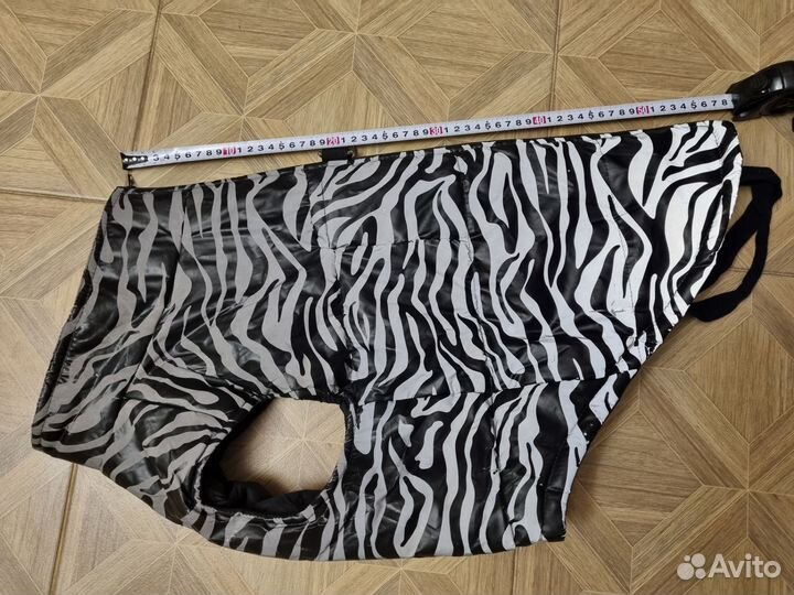 Одежда и обувь для собак