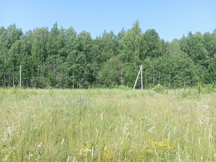 Участок 14 сот. (СНТ, ДНП)