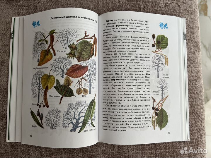 Атлас определитель от земли до неба