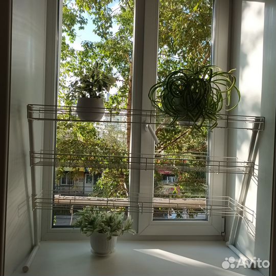 Стеллаж - полка металлическая для цветов