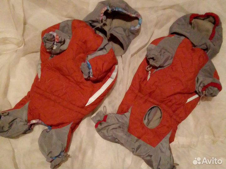 Комбинезоны для мопсов