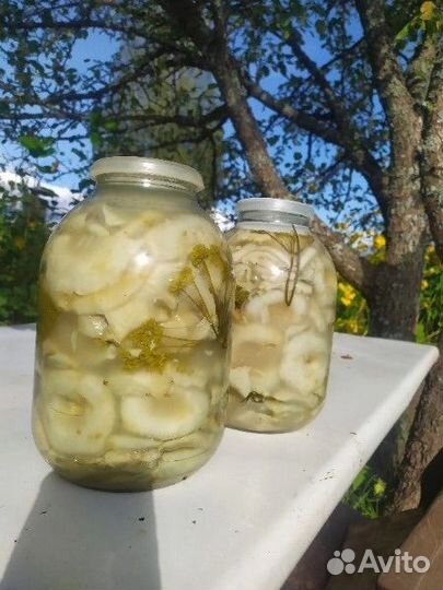 Продам соленые грузди