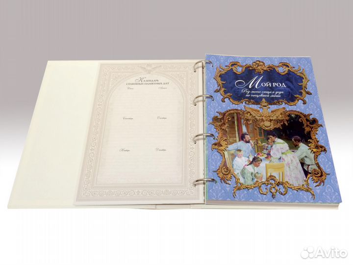 Родословная книга бежевая