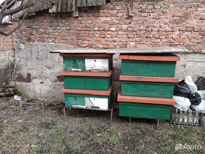 Пчелиные ульи