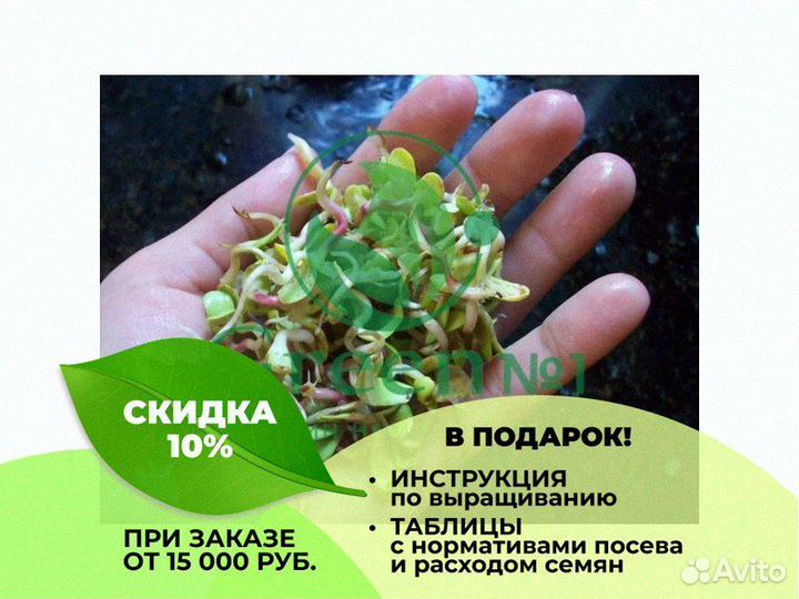 Качественная микрозелень