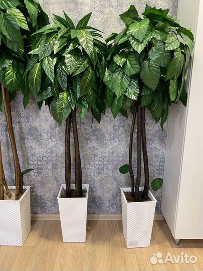 Искусственные деревья в кашпо