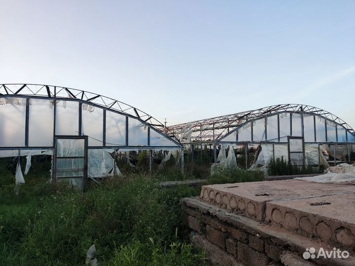 Теплица оцинкованная бу