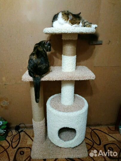 Когтеточки с домиком