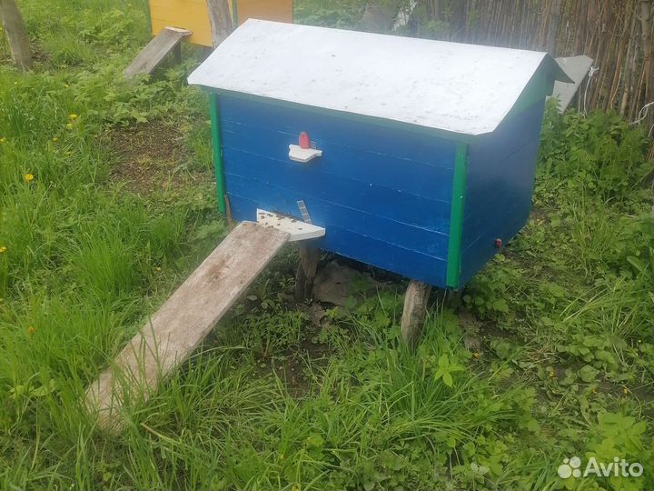 Продам пчелосемьи