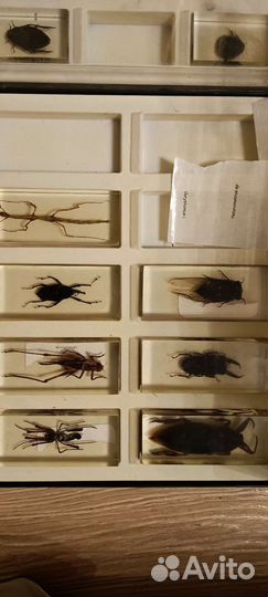 Минералы сокровища земли 6 кейсов