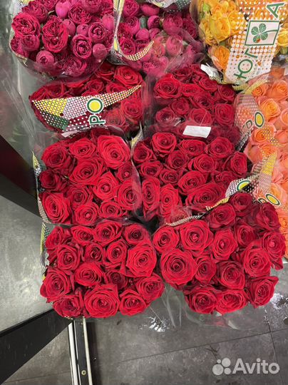 Цветы Оптом