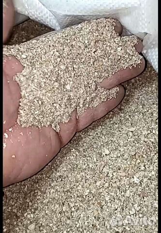 Ракушка морская кормовая