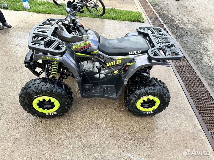 Квадроцикл Motoland 125 Wild