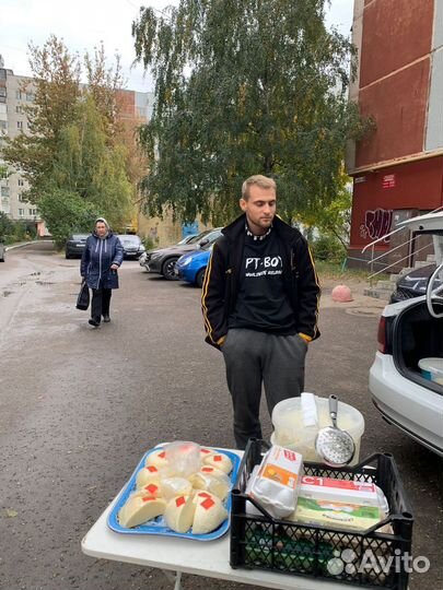 Молоко, масло, творог, сметана, сыры