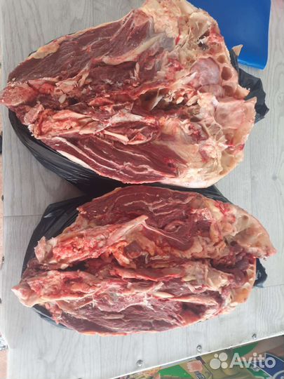 Голова говяжья в разрубе