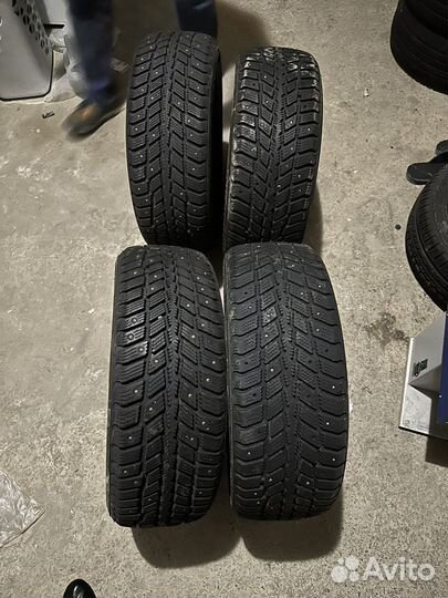 Roadstone Winguard 231 205/55 R16