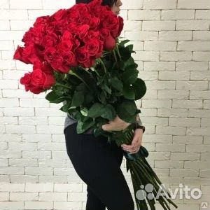 Цветы роза метровая