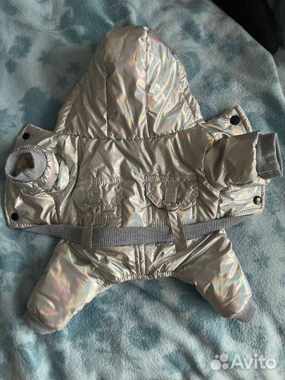 Зимний костюм для собак