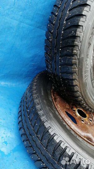 Fortio WN-01 195/65 R15