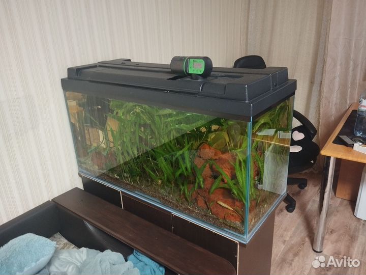 Аквариум 200л с тумбой и рыбами