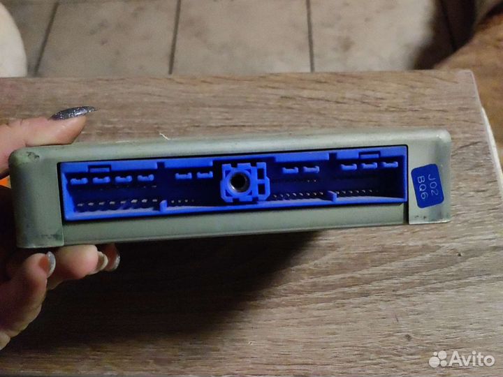 Эбу Nissan Pulsar, Lucino, Sunny FNB14