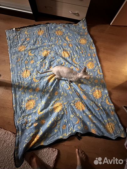 Спальный мешок одеяло