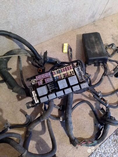 Проводка коса подкапотная Chevrolet Aveo T 200