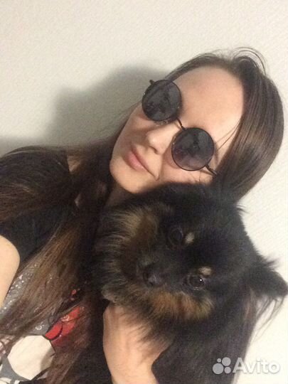 Передержка домашних животных