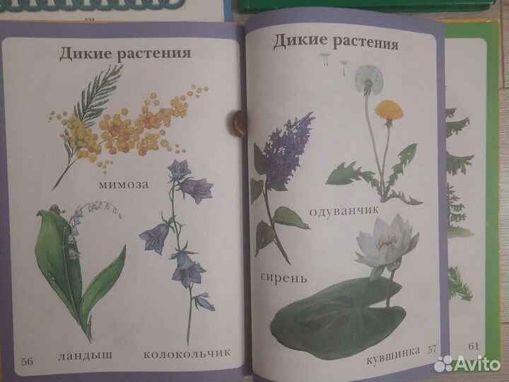 Книги для детей от первых до дошколят