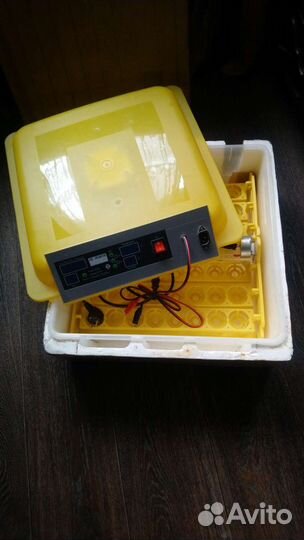 Инкубатор для яиц автоматический бу