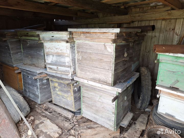 Улей для пчел бу