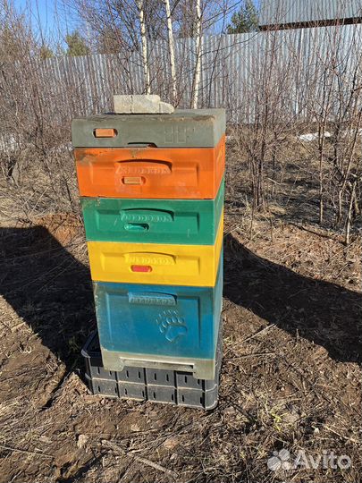 Улей для пчел ППУ
