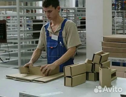 Сортировщик