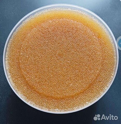 Икра щуки свежая, малосольная