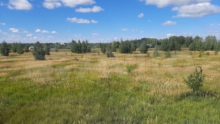 Дом 124,5 м² на участке 8,4 сот.