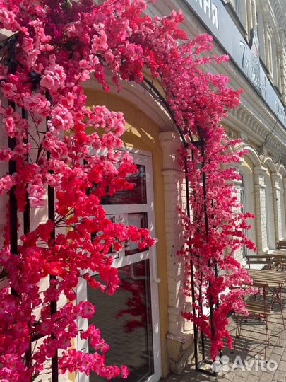 Оформление витрин цветами/ входной группы