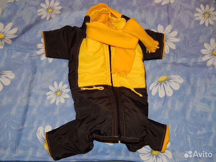 Комбинезон на таксу