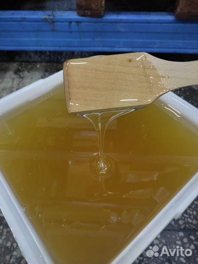 Мёд липовый оптом
