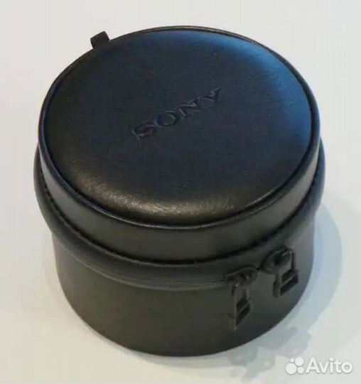Sony qx10