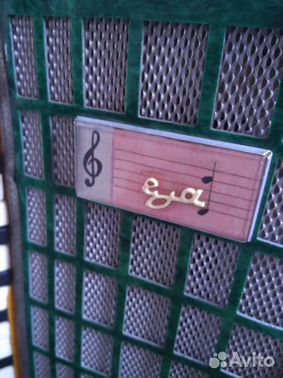 Аккордеон юность 2